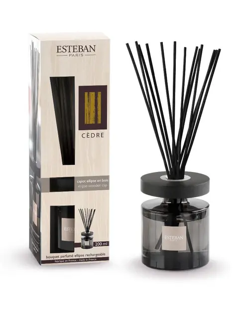 Pour la maison et l’extérieur:Bouquet parfumé et recharge Esteban Ellipse beige parfum Cèdre - 200 ml