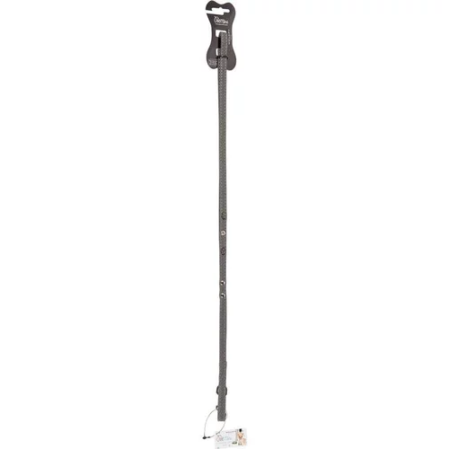 Pour créer votre univers jardin:Laisse pour chien grise simili cuir Rock Petmini Wouapy – 10 mm x 1,2 m