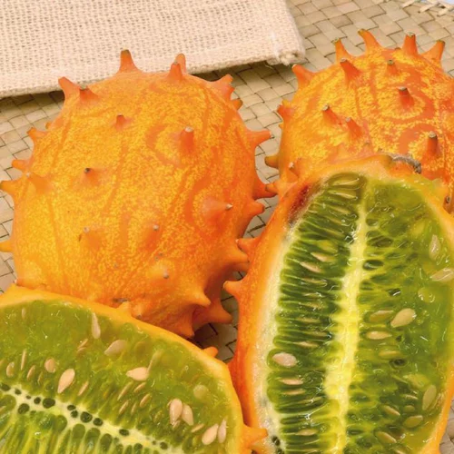 Utile pour le jardin：Kiwano Bio. Le pot de 9x9 cm