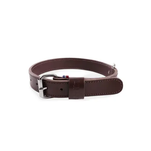 L’esprit jardin：Collier pour chien en cuir coloris marron double épaisseur Martin Sellier - Taille 30/65