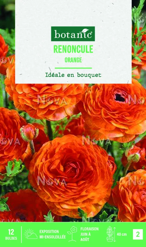 Pour compléter votre jardin：Bulbes de fleurs Renoncule asiatique orange botanic® – 12 bulbes