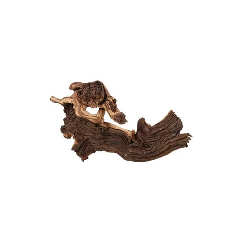 Espace vert confort：Racine Maupani en bois naturel marron taille L 20,5x12x9 cm
