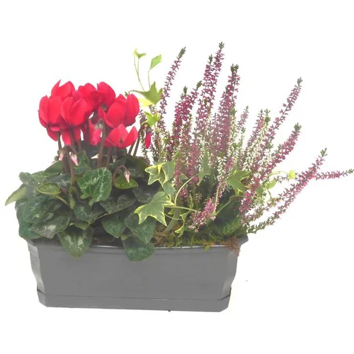 Idéal pour l’extérieur:Composition d'extérieur mélange orange rouge - La jardinière de 30 cm