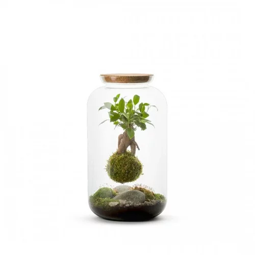 Jardin service：Terrarium Bulle de Nature suspension Mia Gin taille L - Ø 19 cm