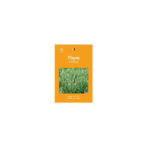 Les incontournables du jardin：Graines de thym d'hiver sélection premier prix - graines à semer
