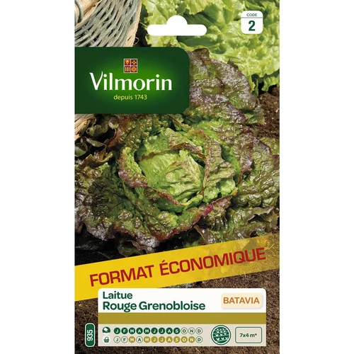 Un choix malin pour l’extérieur：Graines de laitue rouge grenobloise Vilmorin - graines à semer