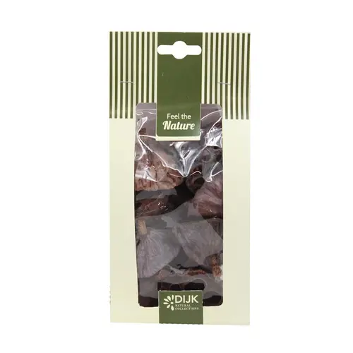 Pour embellir le jardin:Mini lotus naturel en sachet - les 10 pièces