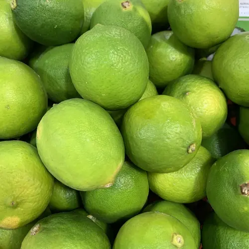 Jardin à équiper:Lime de Tahiti. Le pot de 5 litres