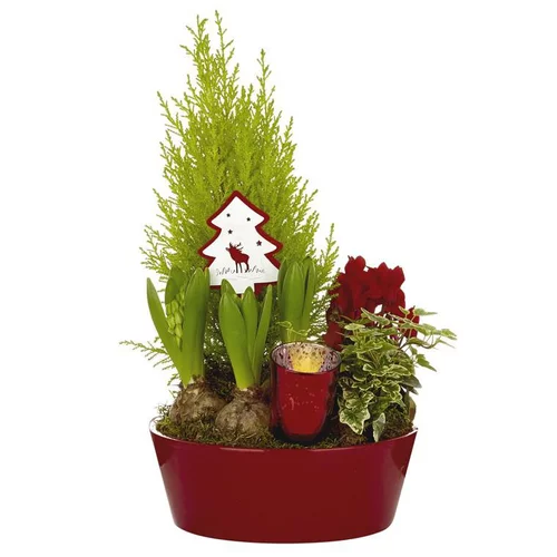 Un atout pour vos extérieurs：Composition festive en coupe zinc rouge - La composition