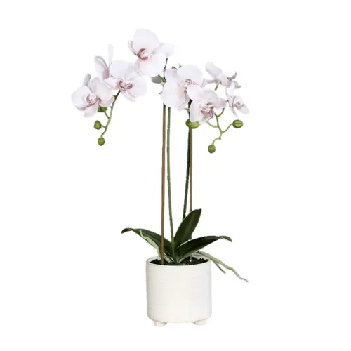 Idée jardin:Orchidée artificielle rose clair à 2 panicules en pot blanc - 52 cm