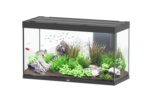 Pour profiter pleinement de l’extérieur:Aquarium coloris noir Aquatlantis Sublime Ultra LED 2.0 333 L - 120 x 50 x 70 cm