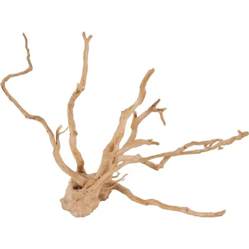 Adapté au jardin:Décoration naturelle pour aquarium et terrarium coloris marron Zolux racine araignée – 10 à 30 cm