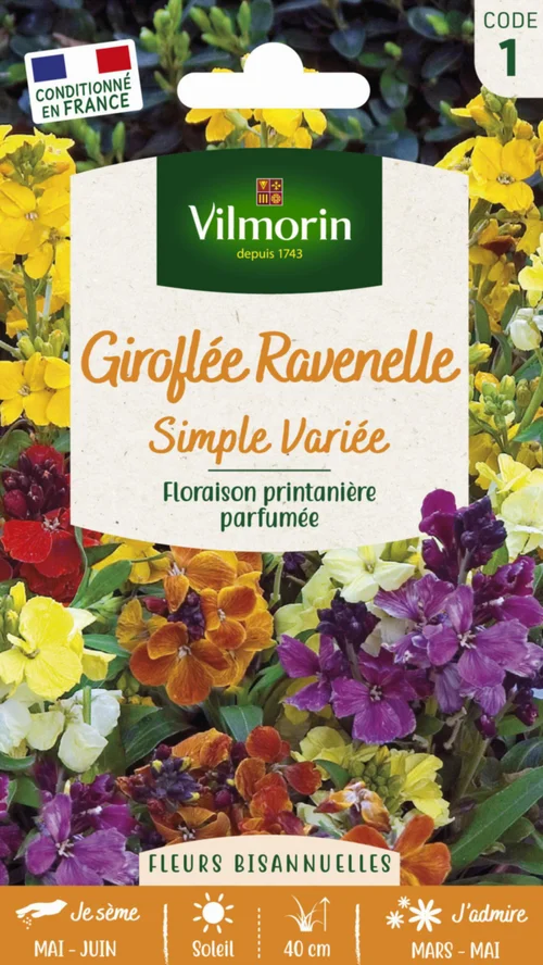 Utile dehors：Giroflée Ravenelle Simple Variée Vilmorin - graines à semer