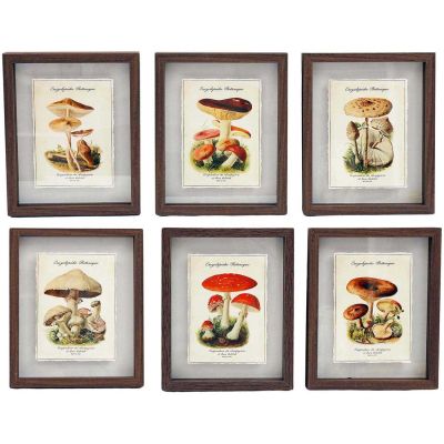 Tableaux décoratifs champignons 30 x 40 cm (Lot de 6)