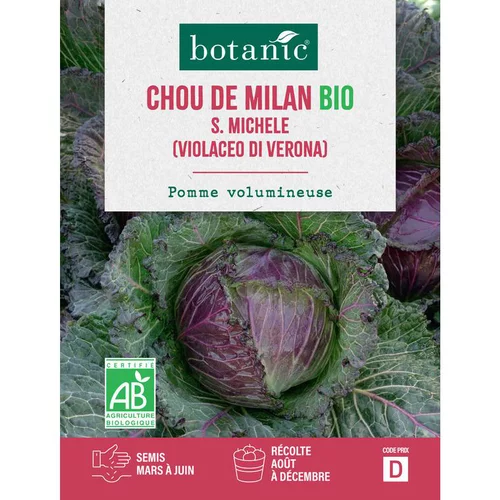 L’essentiel pour le jardin:Graines de Chou de milan saint Michèle bio botanic® - graines à semer