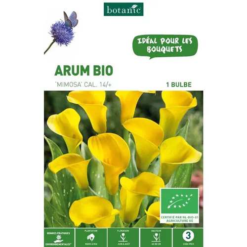 Jardin au naturel：Arum Mimosa bio rose clair botanic® - 1 bulbe