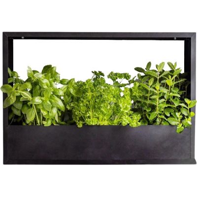 Cadre mural en fer pour plantes Garden (58 x 18 x 40 cm)
