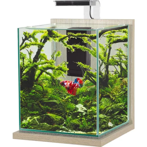 Pour mieux organiser votre jardin：Kit aquarium Jalaya XL coloris zebrano gris Zolux - 25 x 25 x 30 cm