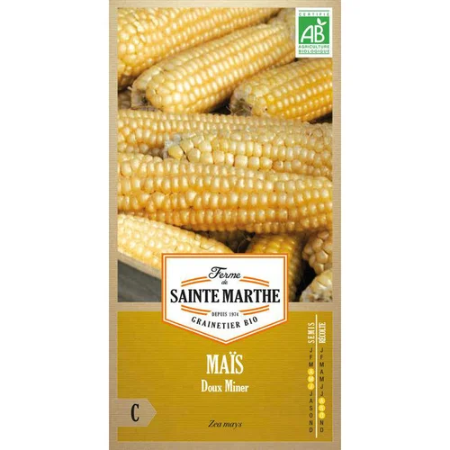 Déco au jardin:Graines de Maïs doux bio Ferme de Sainte Marthe - 50 graines à semer
