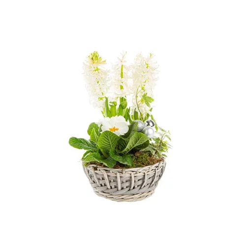 Parfait au jardin：Jacinthe Primula Hedera Panier Osier Gris