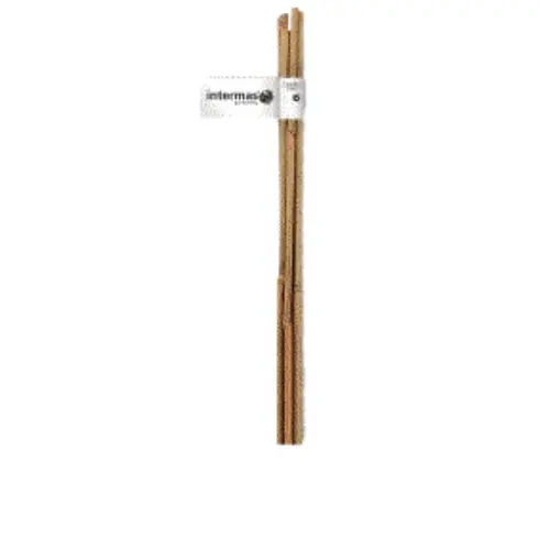 Pour vos moments au jardin：Tuteur bambou naturel coloris beige H1,50 m x Ø 10-12 mm