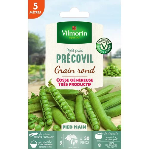 Jardin utile:Graines de pois nain Precovil Vilmorin 5 mètres - graines à semer