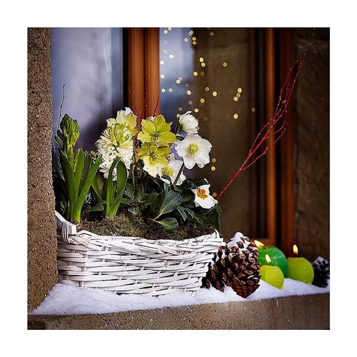 Confort dehors：Jardinière de Noël - La jardinière de 40 cm