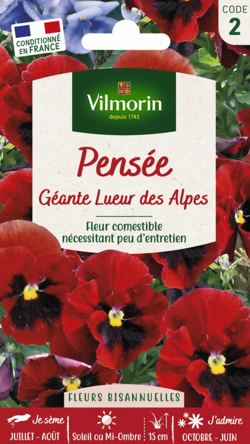 Simple dehors：Graines de Pensée géante Lueur des Alpes Vilmorin - graines à semer