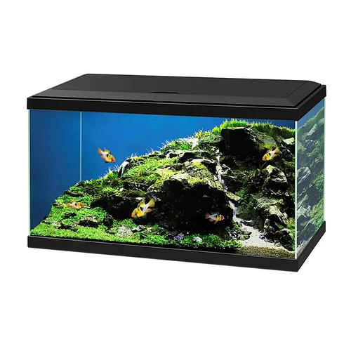 Loisirs jardin:Aquarium 60 LED CFBio150 - 60 X 30 x 32 cm